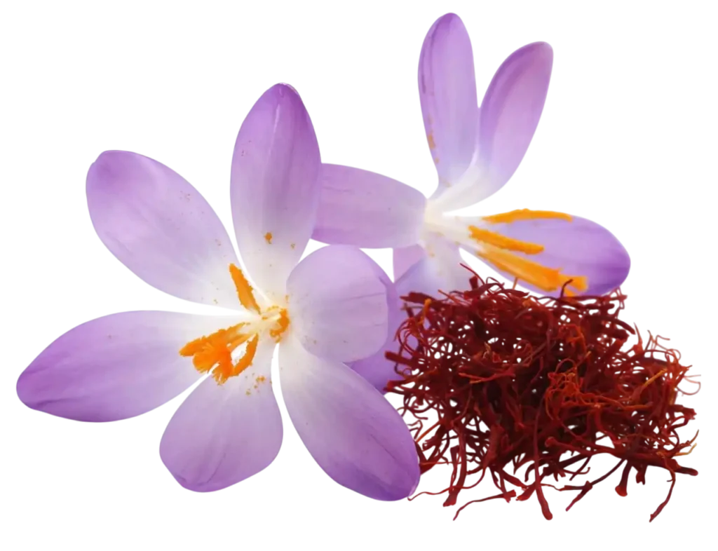 زعفران